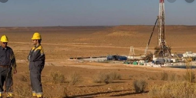 حقل غاز نوارة يدخل طور الاستغلال خلال الأسابيع القادمة